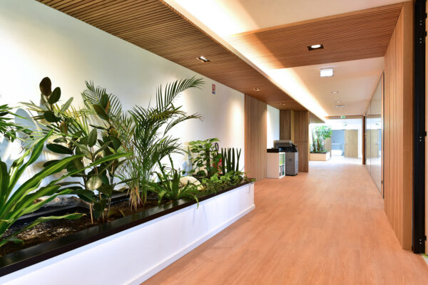 Habillage mural bois par la Menuiserie Doppler